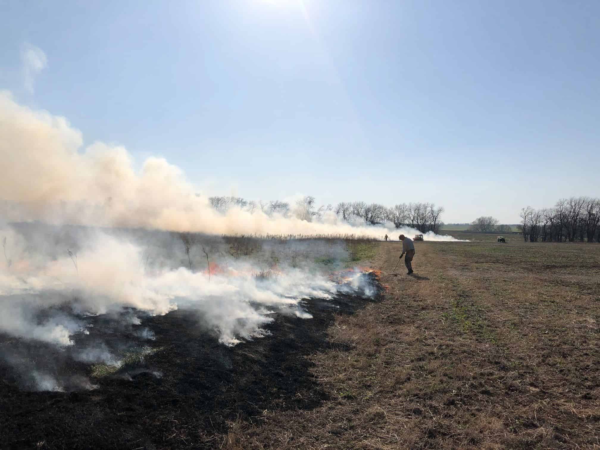 Wildfire Hazard Preparation & Mitigation image