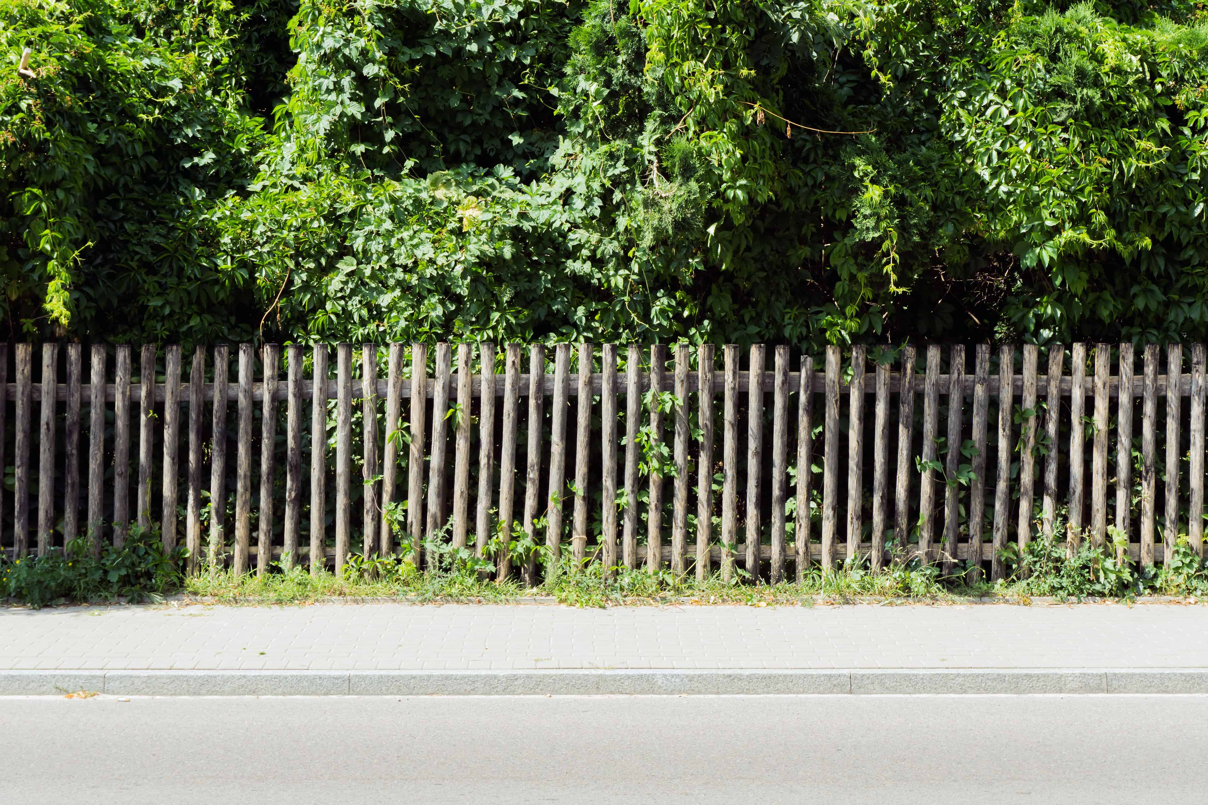 Fence Row Clearing image