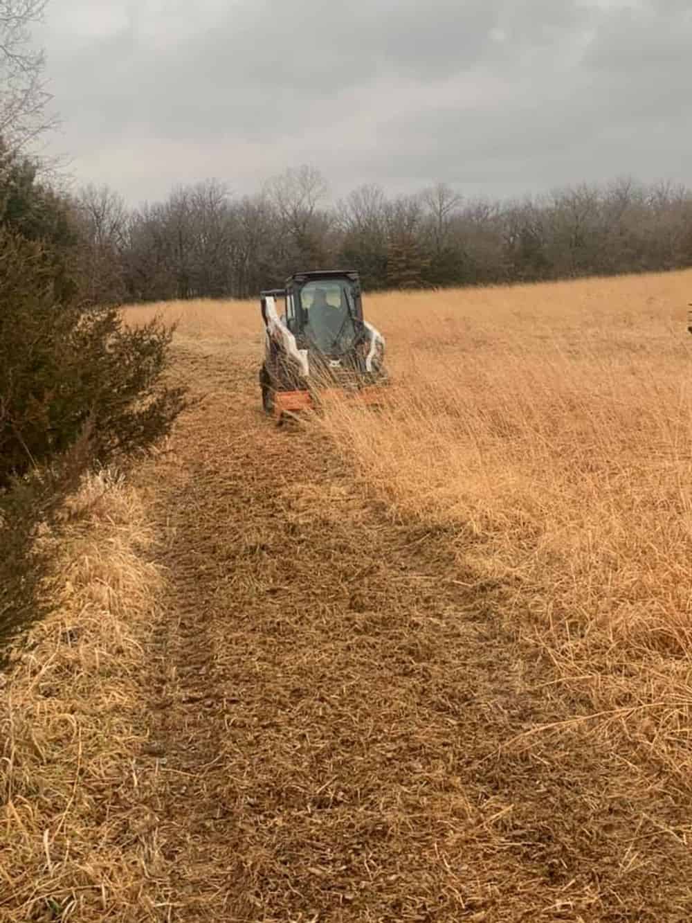 Pasture Clearing image