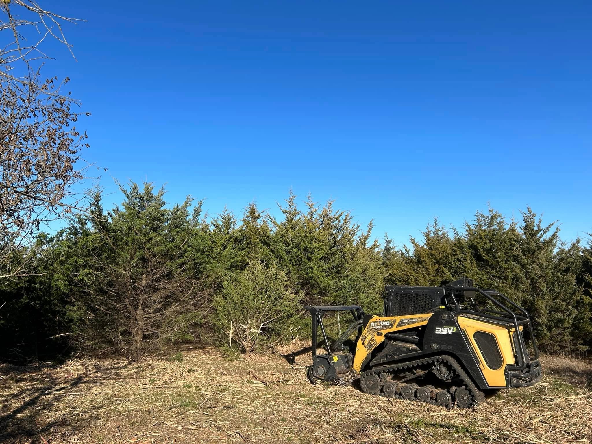 Wildlife Habitat Improvement image