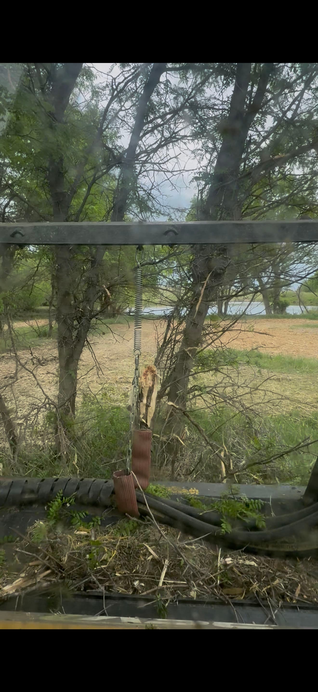 Locust Tree Removal and Pasture Clearing Done Right