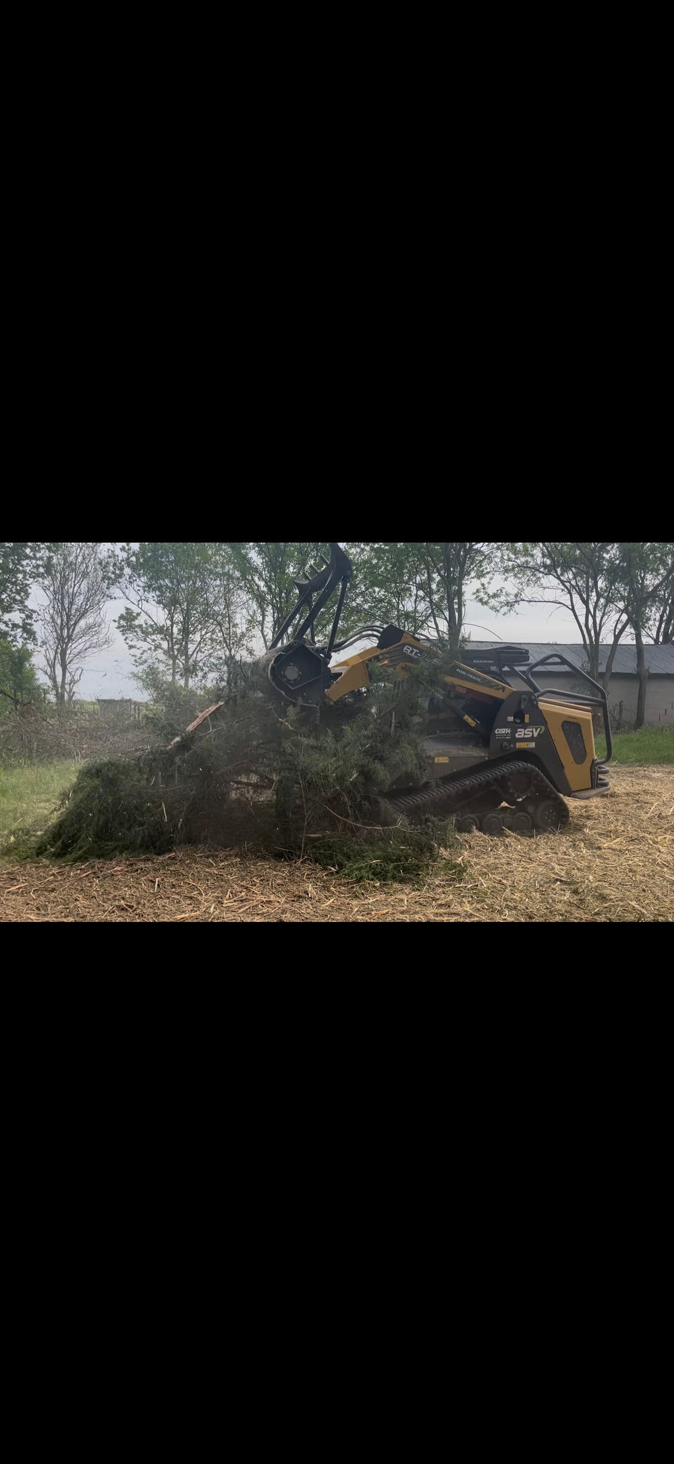 Project Cedars Are Losing Ground and We're Keeping It That Way image