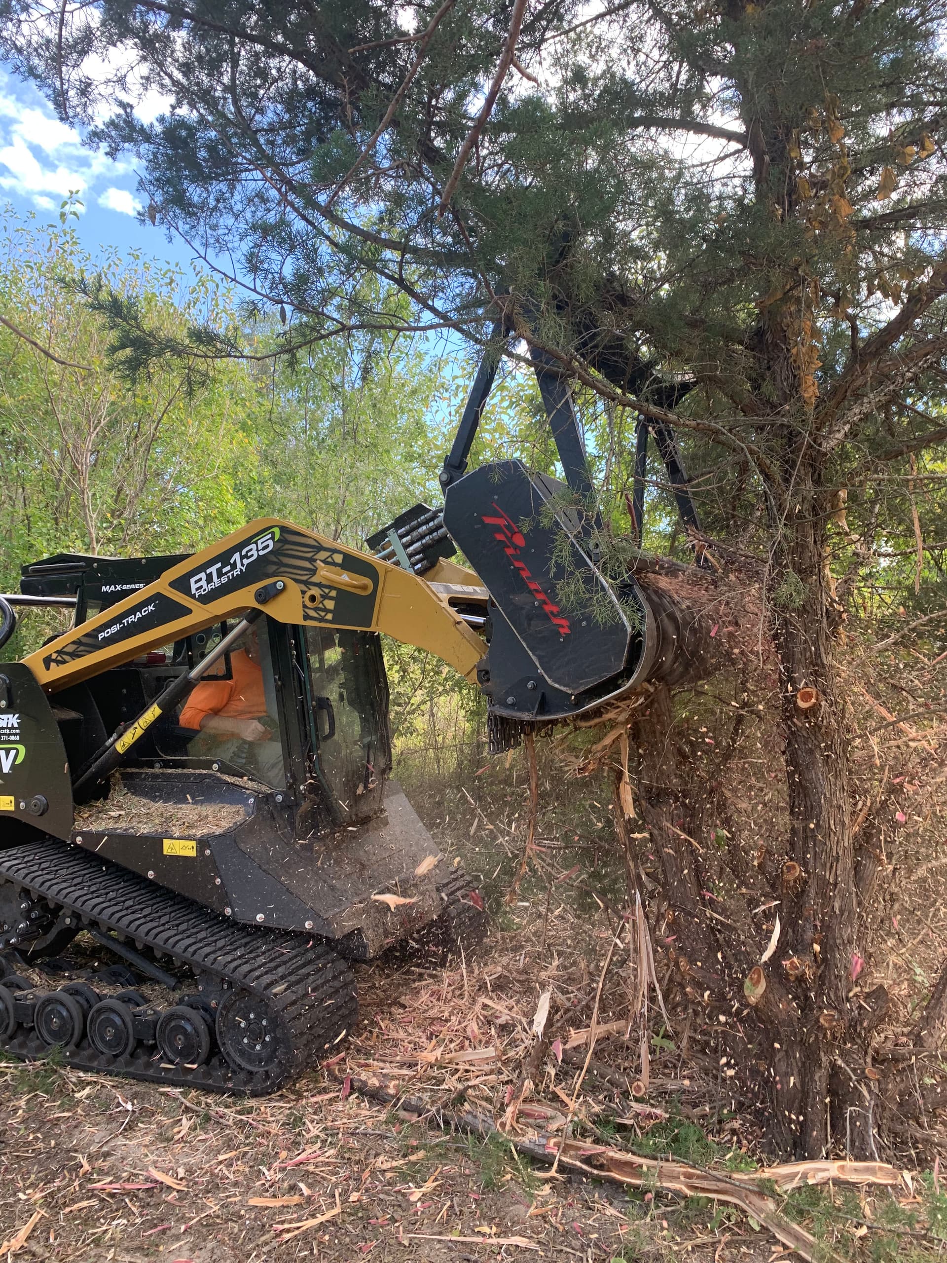 Gallery photos for Cedars Taking Over Your Property? Forestry Mulching Cleans It Up Fast: Image #1