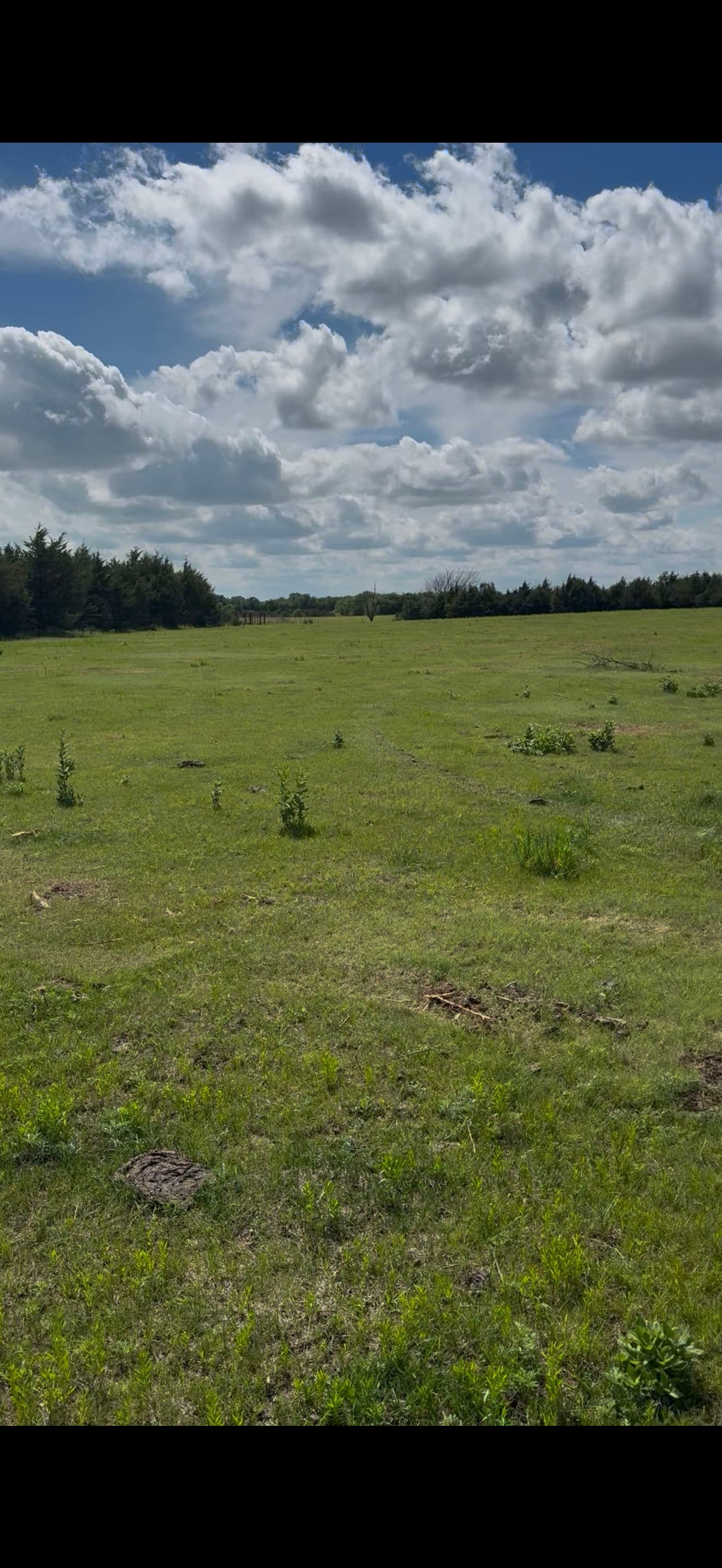 Pasture Clearing That Opens Up Overgrown Land Fast