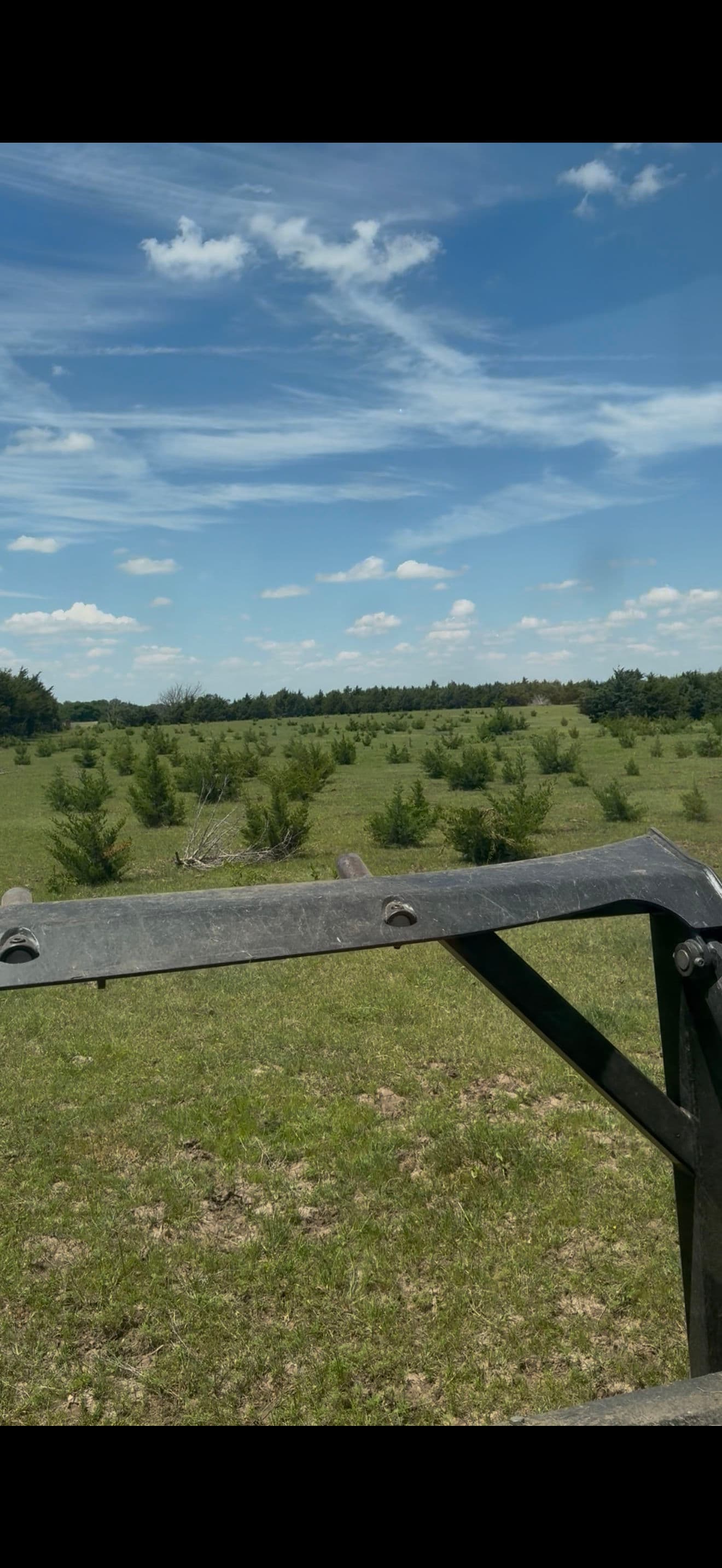 Pasture Clearing That Opens Up Overgrown Land Fast