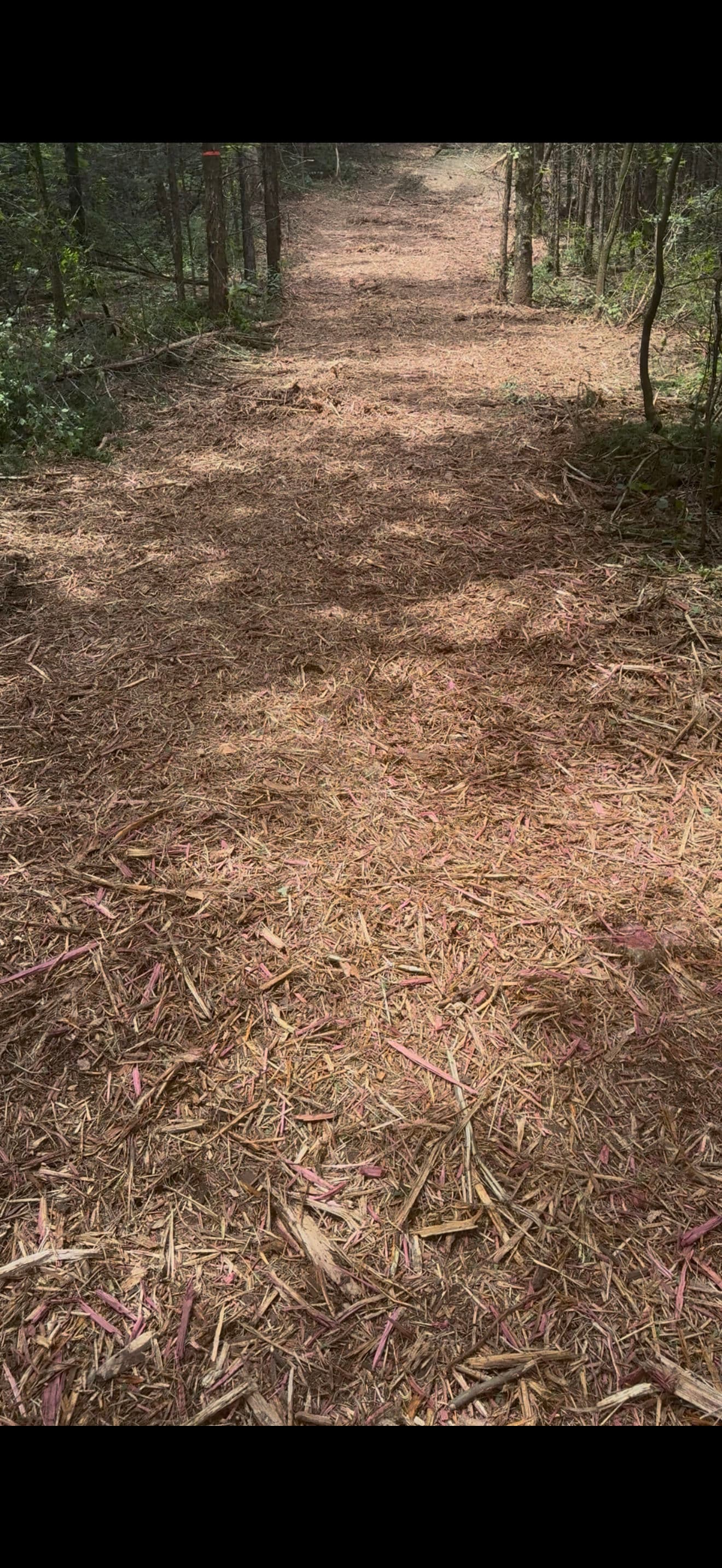 Forestry Mulching Fire Breaks That Actually Protect Your Land image