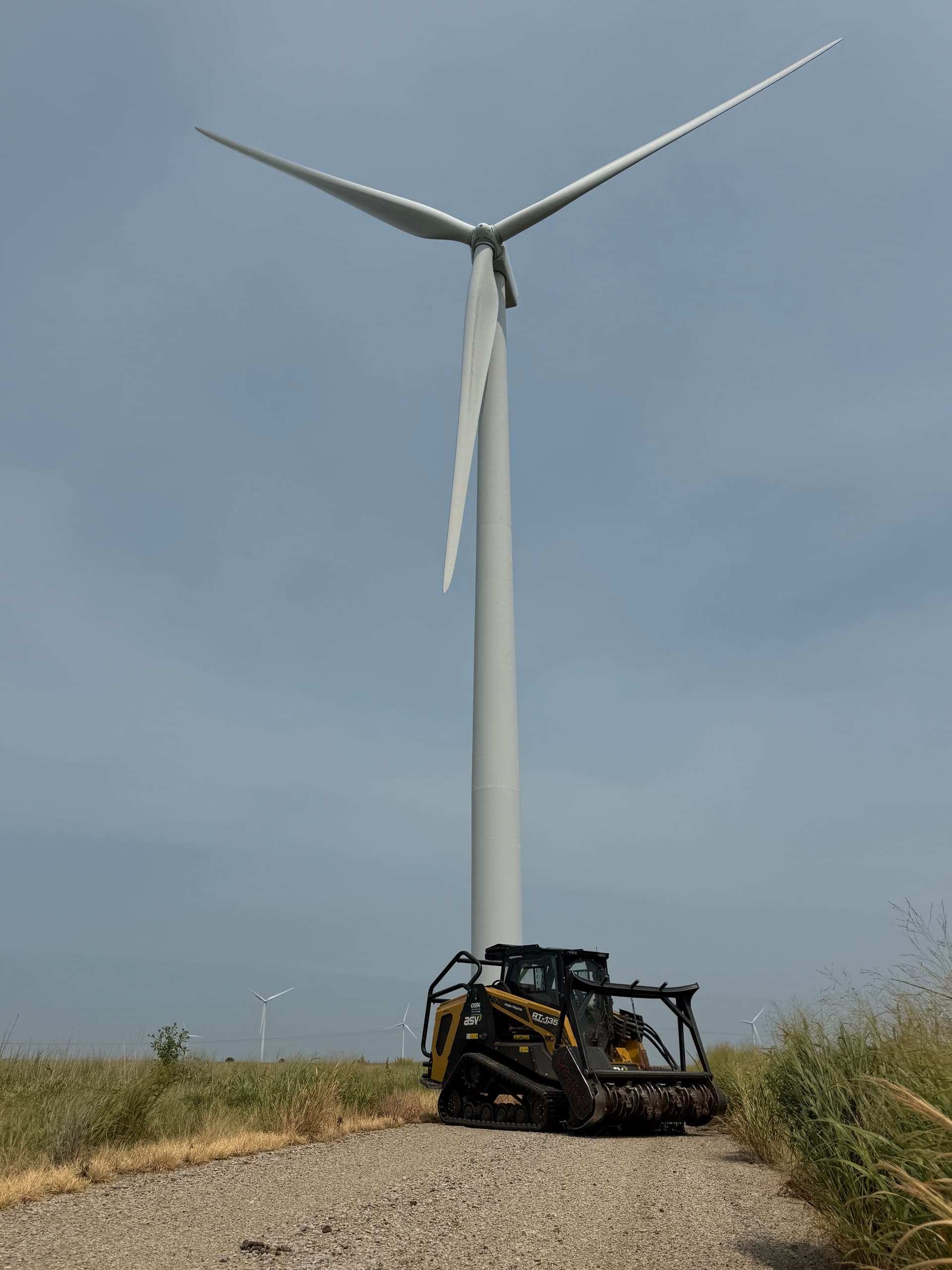 Gallery photos for Forestry Mulching Cedar Trees to Keep CRP Ground in Compliance: Image #1