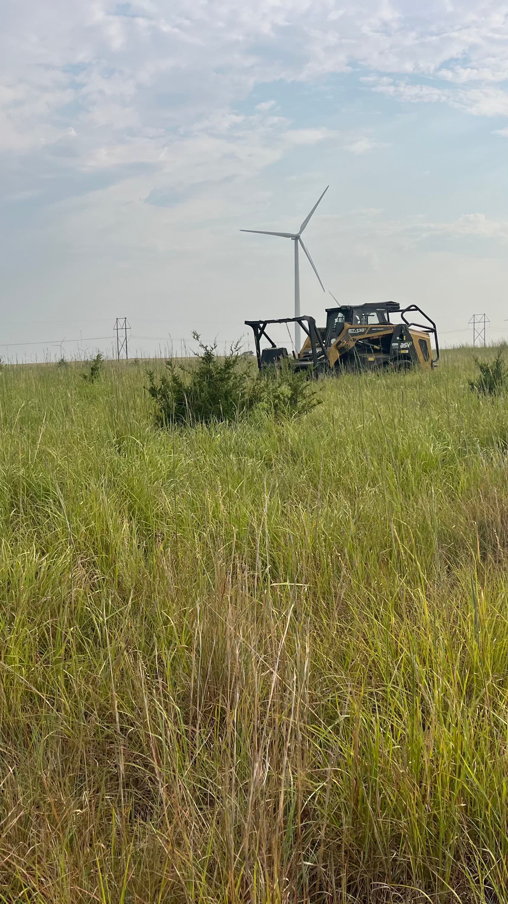 Forestry Mulching Cedar Trees to Keep CRP Ground in Compliance image
