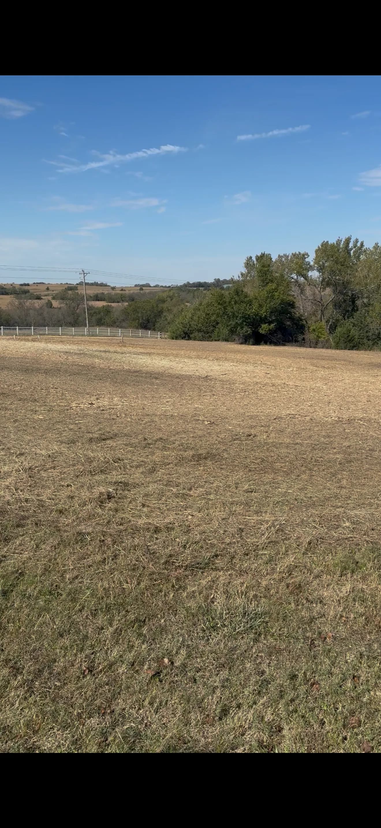 Gallery photos for Thick Brush and Unwanted Trees Cleared With Forestry Mulching: Image #1